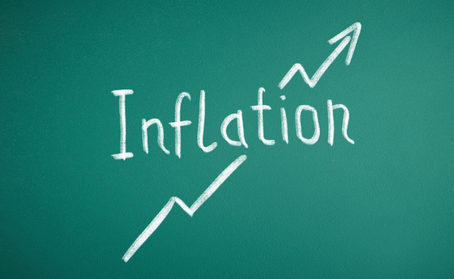 インフレに備えて米ドルを購入：サニーガーデンEX